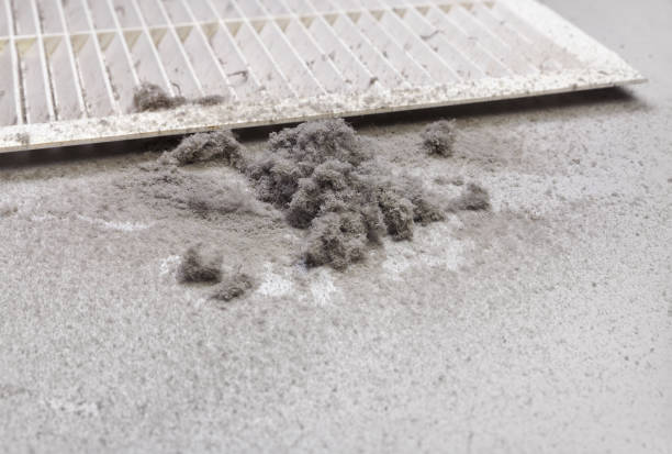 Best Home Air Vent Cleaning  in Homeland, CA