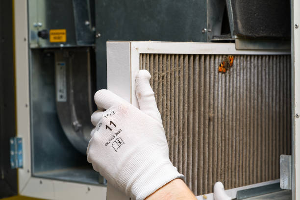Best Duct Cleaning for Homes  in Homeland, CA