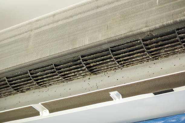 Best Residential Air Duct Cleaning  in Homeland, CA